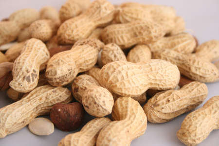 dried fruitの写真素材