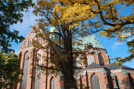 Minster in Bad Doberan (Germany), autumn trees with yellow leaves in the park of the churchの写真素材