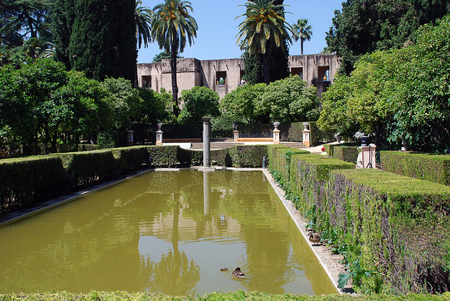 Seville (Spain): The AlcÃ¡zar Gardensの写真素材