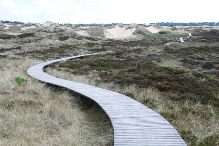 Landscape on Amrum, Germany. Amrum is one of the North Frisian Islands on the German North Sea coast, south of Sylt and west of Foehrの写真素材