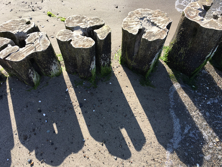 Coast protection at the baltic sea (Kuehlungsborn, Germany): groynes.  In the ocean, groynes create beaches or prevent them being washed away by longshore drift.の写真素材