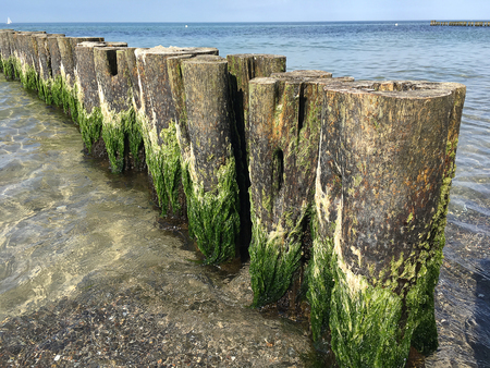 Coast protection at the baltic sea (Kuehlungsborn, Germany): groynes.  In the ocean, groynes create beaches or prevent them being washed away by longshore drift.の写真素材
