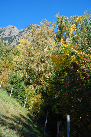 The steep southern slopes of the mountain Mutspitze, South Tyrol, Italyの写真素材
