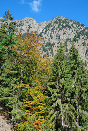 The steep southern slopes of the mountain Mutspitze, South Tyrol, Italyの写真素材