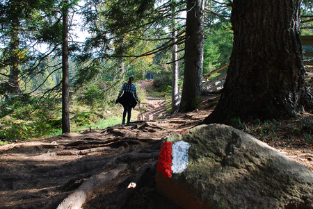 Red and white track mark on a stone. Forest route, hiking pathway trail sign. Hafling, way to the 'Wurzer Alm', South Tyrol, Italyの写真素材
