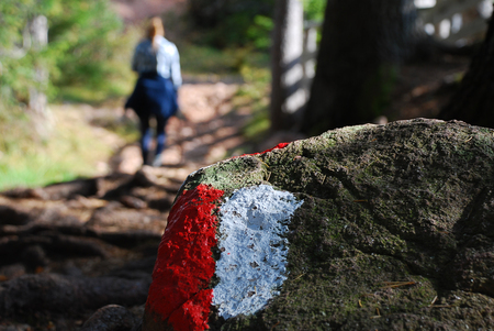 Red and white track mark on a stone. Forest route, hiking pathway trail sign. Hafling, way to the 'Wurzer Alm', South Tyrol, Italyの写真素材