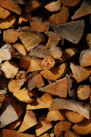 Wooden natural cut logs textured background, top view, flat layの写真素材
