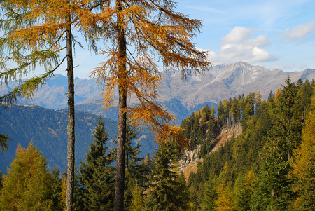 Hiking in the 'Hirzer' area with impressive autumn scenery, Sarntal Alps, South Tyrol, Italy. In the background the mountains of the Texel Groupの写真素材