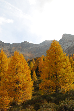 Hiking in the 'Hirzer' area with impressive autumn scenery, Sarntal Alps, South Tyrol, Italy. In the background the mountain Hirzerの写真素材