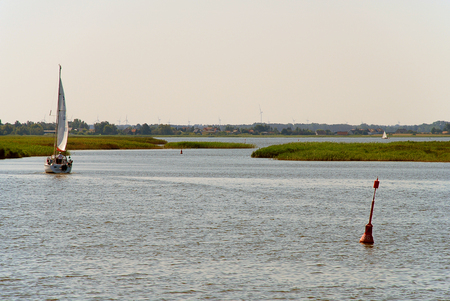 Bodden landscape with coastal plants at Baltic Sea coast on sunny summer day, Darss, Germany. The  Darss is the middle part of the peninsula of Fischland-Darss-Zingst on the southern shore of the Baltic Seaの写真素材