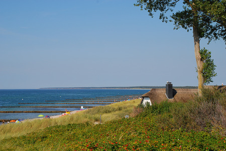 Coastal landscape with a typical thatched building at Baltic Sea coast on sunny summer day, Ahrenshoop, Darss, Germany.の写真素材
