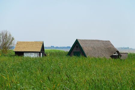 Bodden landscape with typical thatched buildings  at Baltic Sea coast on sunny summer day, Born, Darss, Germany.の写真素材