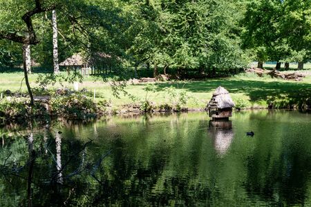 Small lake with ducks, lake in the Deer Park (Hirschpark) in Hamburg Blankeneseの写真素材