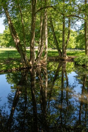 Water and trees in the Deer Park (Hirschpark) in Hamburg Blankeneseの写真素材
