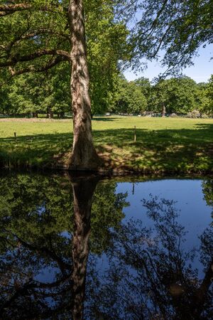 Water and tree in the Deer Park (Hirschpark) in Hamburg Blankeneseの写真素材