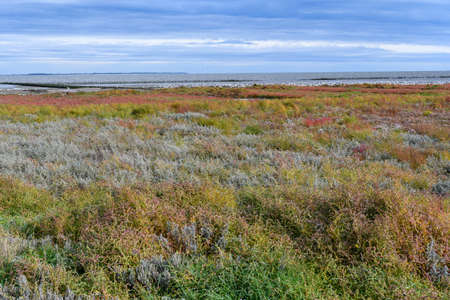 Wadden Sea at low tide on Amrum Island, North Sea, North Frisian Island, Schleswig-Holstein, Germanyの写真素材