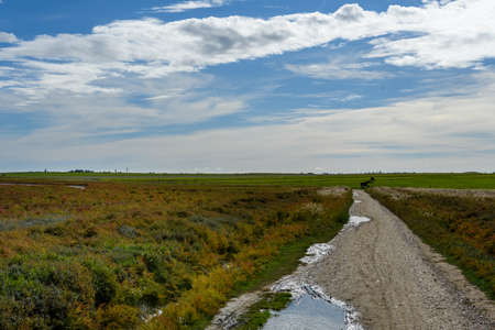 Hiking trial on the island Amrum, Germanyの写真素材