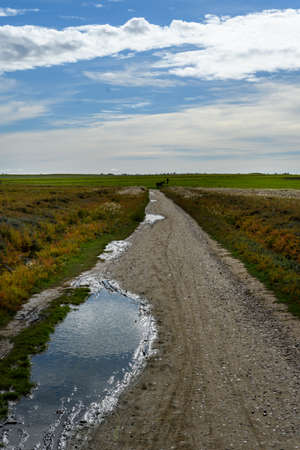 Hiking trial on the island Amrum, Germanyの写真素材