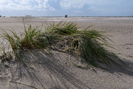 Coastal Scene on the North Frisian Island Amrum in Germanyの写真素材
