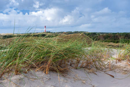 Coastal scene on Amrum island, Germany. In the background the lighthouse of Amrum. Amrum is one of the North Frisian Islands on the German North Sea coastの写真素材