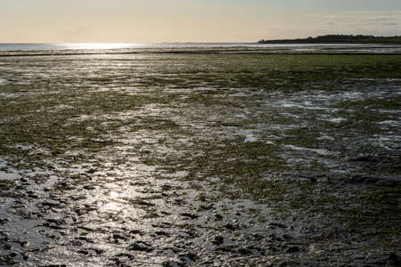 Wadden Sea at low tide on Amrum Island, North Sea, North Frisian Island, Schleswig-Holstein, Germanyの写真素材