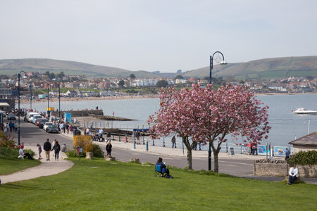 Views from Prince Albert Gardens in Swanage, Dorset in the UKのeditorial素材