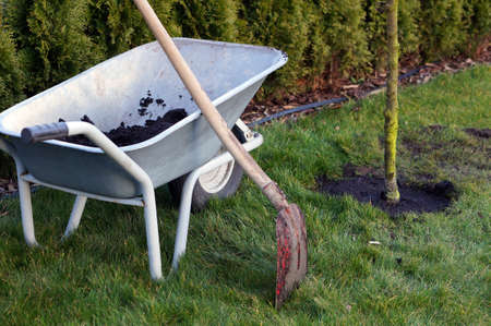 gardening                              の写真素材