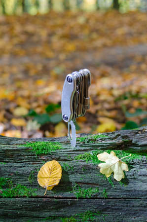 Multi tool on a large moss-covered timberの写真素材