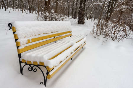 Bench in the winter park littered with snowの写真素材