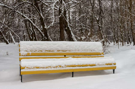 Bench in the winter park littered with snowの写真素材