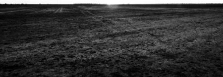 paddock in drought