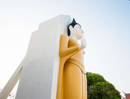 Lord Buddha in stand position.の写真素材