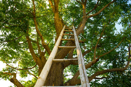 you can go higher than now,if you have inspiration,dream,knowledge and supported form parent to do anything.の写真素材