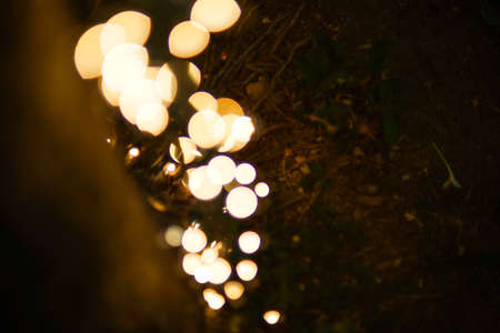Orange light trapped on the tree and take it to the ground.の写真素材