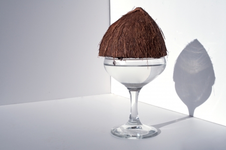 A picture of a half of a coconut sitting on top of a fancy glass.の写真素材