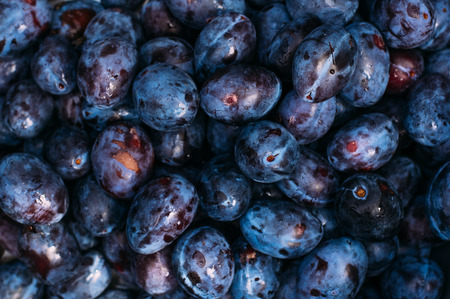 Ripe plums backgroundの写真素材