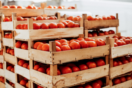 Stack of tomatoes in basket for sale. Market sale.の写真素材
