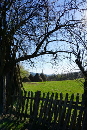 Wooden fence next to an old tree surrounding an old farm with green grass and straw balesの写真素材