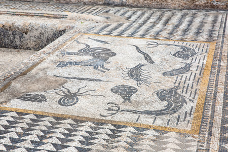 Detail of ancient Roman mosaic on the floor of the Piazza del Popolo in Rome, Italyの写真素材