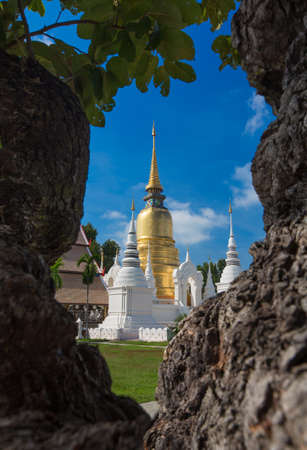 Wat Suan Dok at Chiangmai, Thailand in the sunlight, capture through the tree.の写真素材