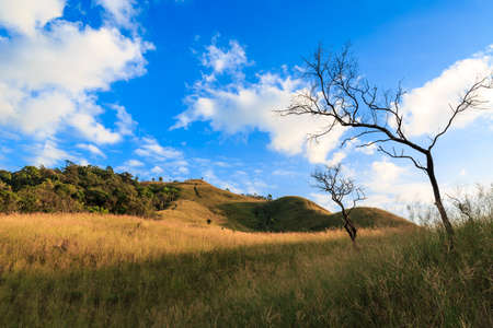 Summit of Tulay Hill, Tak province, Thailandの写真素材