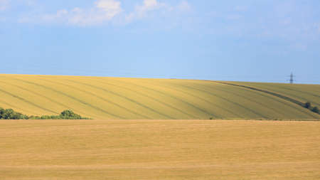 Agricultural land and blue sky