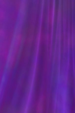 lavender drapeの写真素材