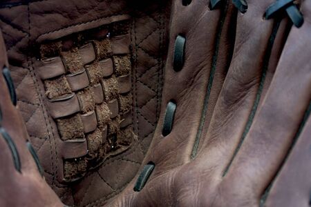 Baseball / Softball Gloveの写真素材