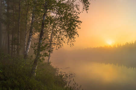 Misty sunrise on the lakeの写真素材