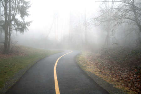 Foggy Roadの写真素材