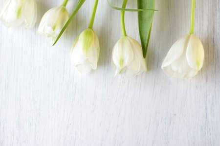 White fresh tulips on wooden background, nice tender spring flowers on wood texture, tulip bouquet frame, 8 March, Valentine, mother day birthday wedding giftの写真素材