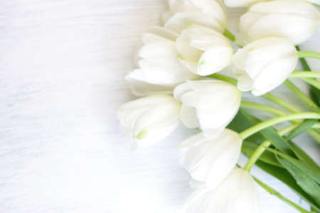 White fresh tulips on wooden background, nice tender spring flowers on wood texture, tulip bouquet frame, 8 March, Valentine, mother day birthday wedding giftの写真素材