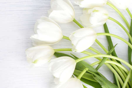 White fresh tulips on wooden background, nice tender spring flowers on wood texture, tulip bouquet frame, 8 March, Valentine, mother day birthday wedding giftの写真素材