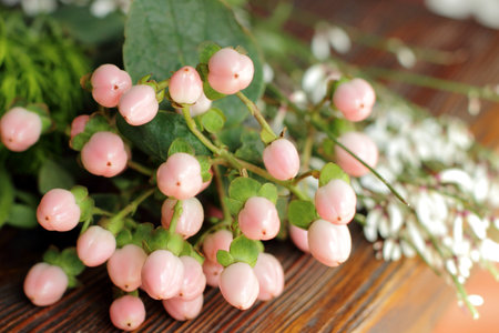 Pink round flowers, berries decorationの写真素材